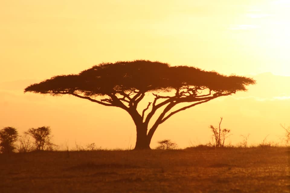 Beautiful shot taken with Khalfan