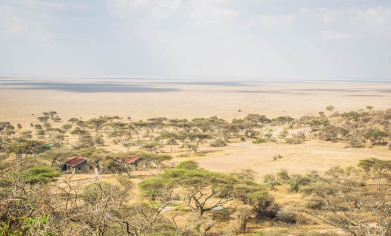Overlooking-serengeti-national-park-with-ranger-house