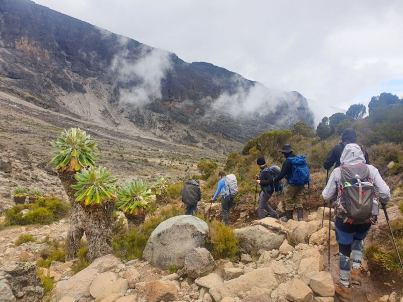 Kilimanjaro trek