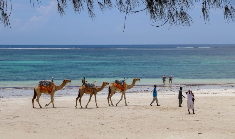 camels and mean walking on beach in Kenya