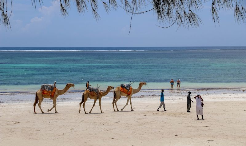camels and mean walking on beach in Kenya