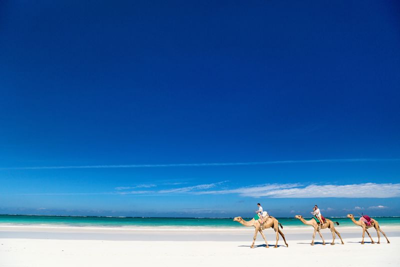 camels and mean walking on beach in Kenya