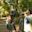 Family with local guide on a nature trail in Amazon rainforest of Tambopata Reserve, Peru
