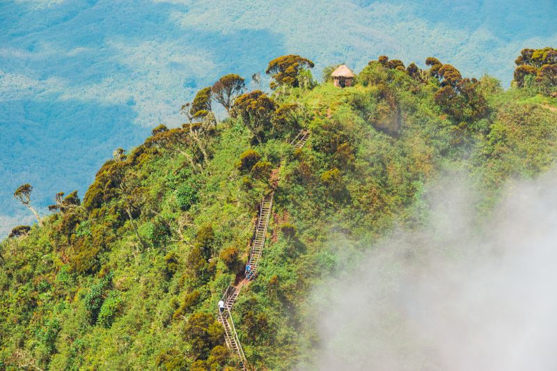 Hikers on the wooden ladders dwarfed by the mountain landscapes at Mount Sabyinyo in the Mgahinga Gorilla National Park, Uganda