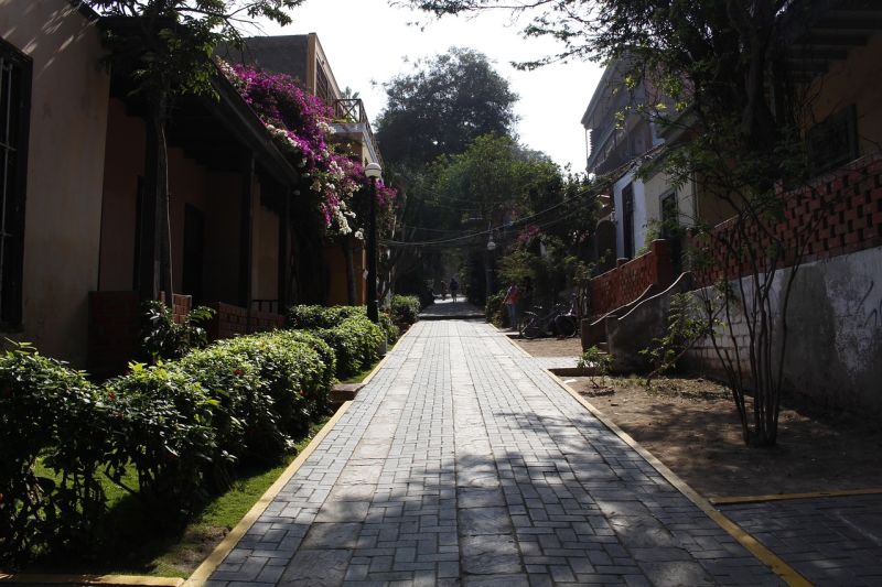Lima city residential street with flowers
