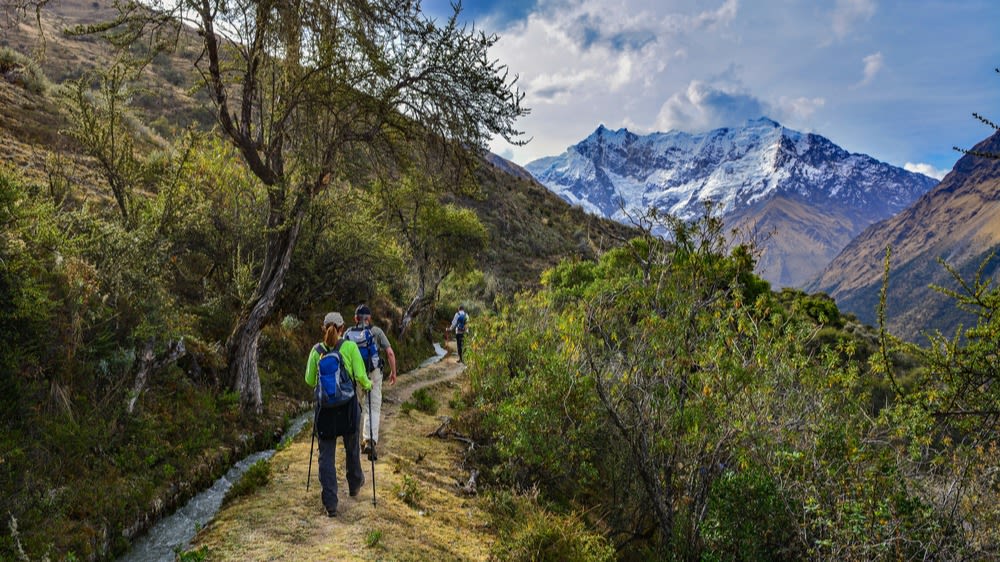 Peru. Trekkers with trekking poles and backpacks on Salkantay Trek en route to Machu Picchu 