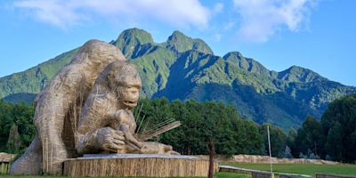 View of the mountain peaks in Volcanoes National Park, Rwanda