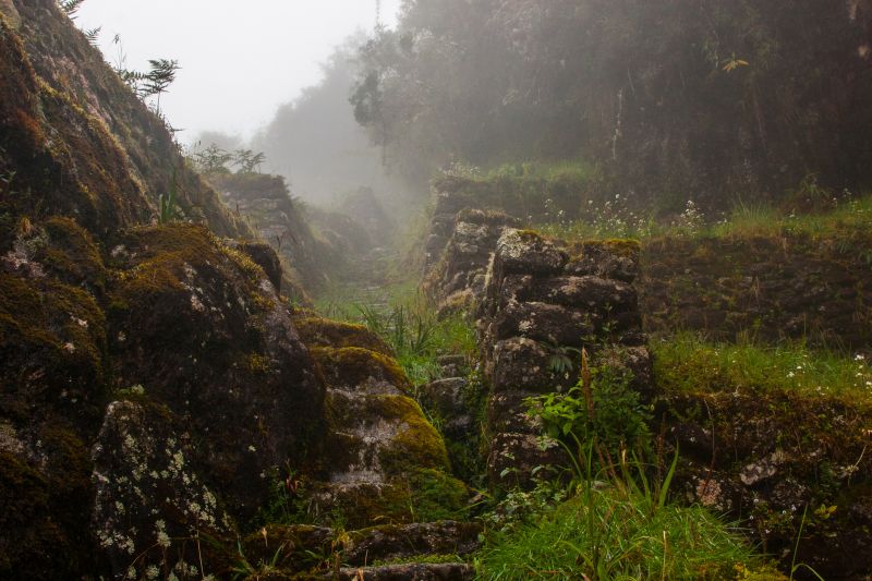Inca Trail trekking path with ruins in the wild jungle with fog. Peru