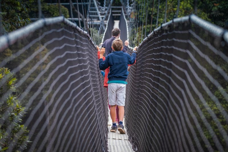 Small boy walking along Nyungwe Forest National Park canopy walkway