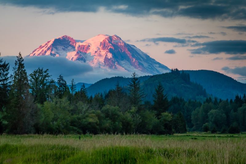 Mt. Ranier viewed from a meadow