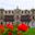 Red flowers in foreground with Archbishop's Palace in background, Plaza de Armas, Lima, Peru