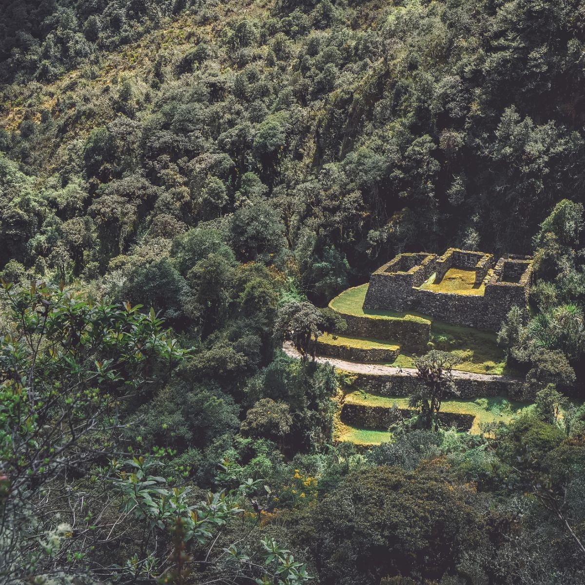 An ancient Inca ruin hidden in the forest, view from the Inca Trail (Peru)