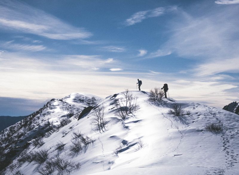 Trekkers hiking in snow with trekking poles and backpacks