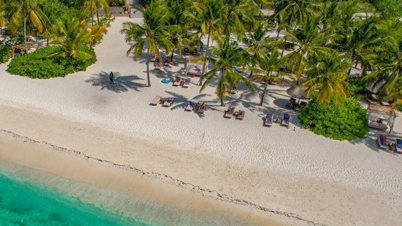 Aerial view of Zuri Zanzibar resort among palm trees and by clear by sea