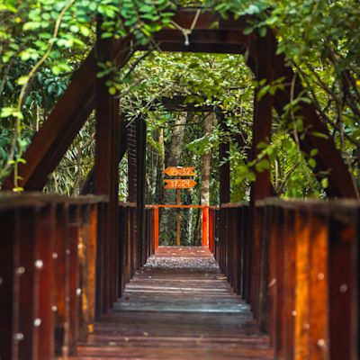 wooden walkway bridge with trees crowding in at Refugio Amazonas ecolodge near Tambopata Reserve in Peruvian southern Amazon rainforest