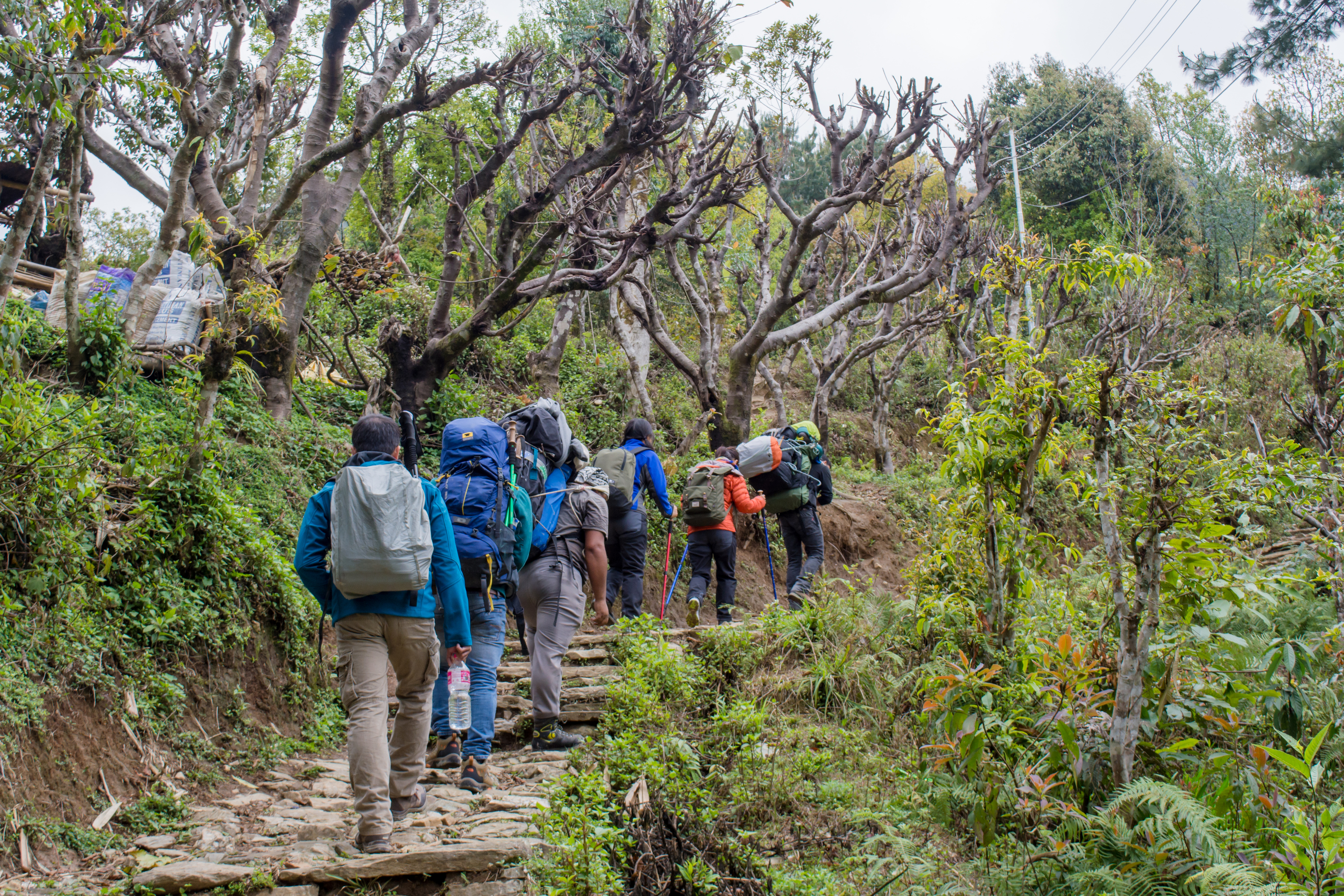 Mardi Himal Trek