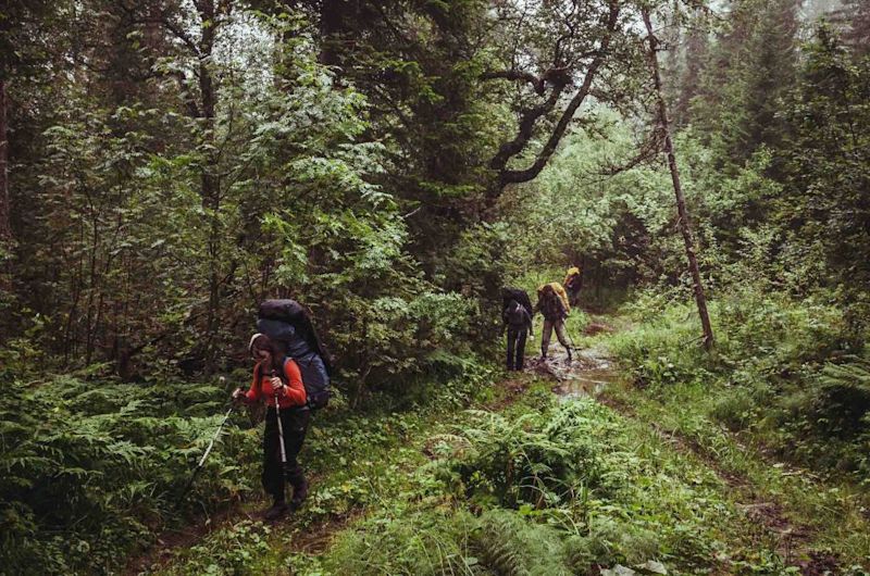 Trekking in the mud in a rainforest