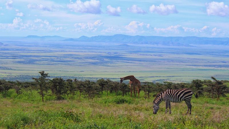 Giraffe and zebra, what is the Serengeti famous for?