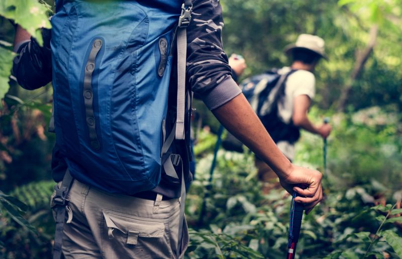 Male trekkers in forest with backpacks and trekking poles