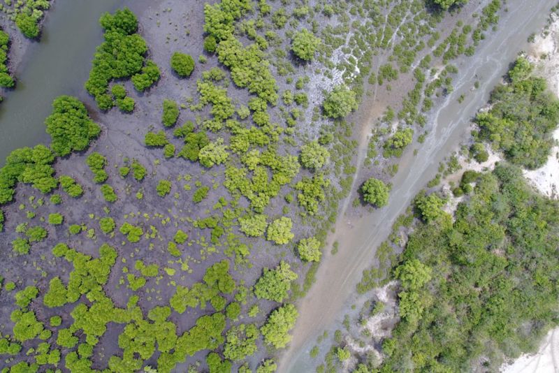 wetland in Trincomalee Sri Lanka