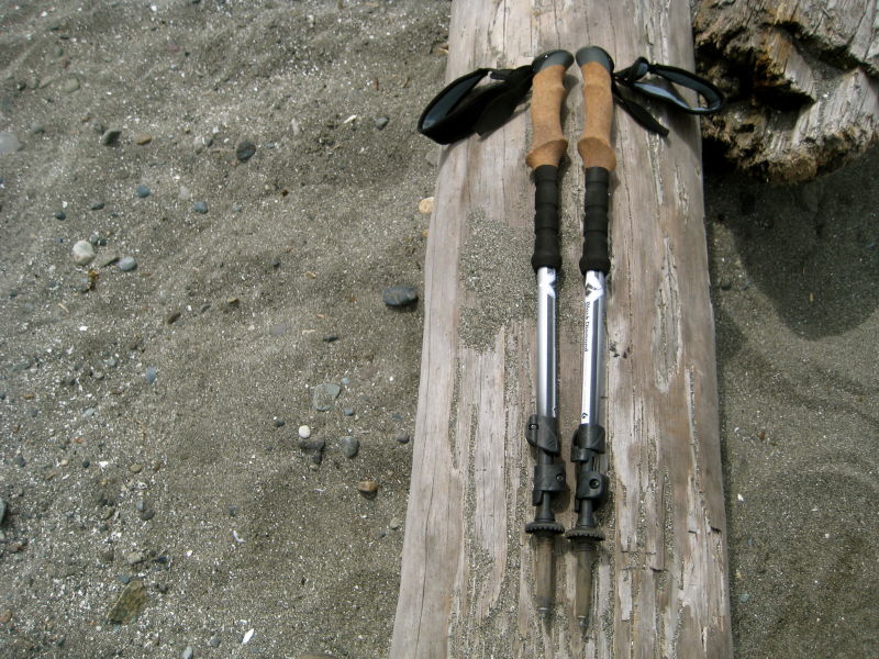 Collapsed cork-grip trekking poles lying lengthways on a log