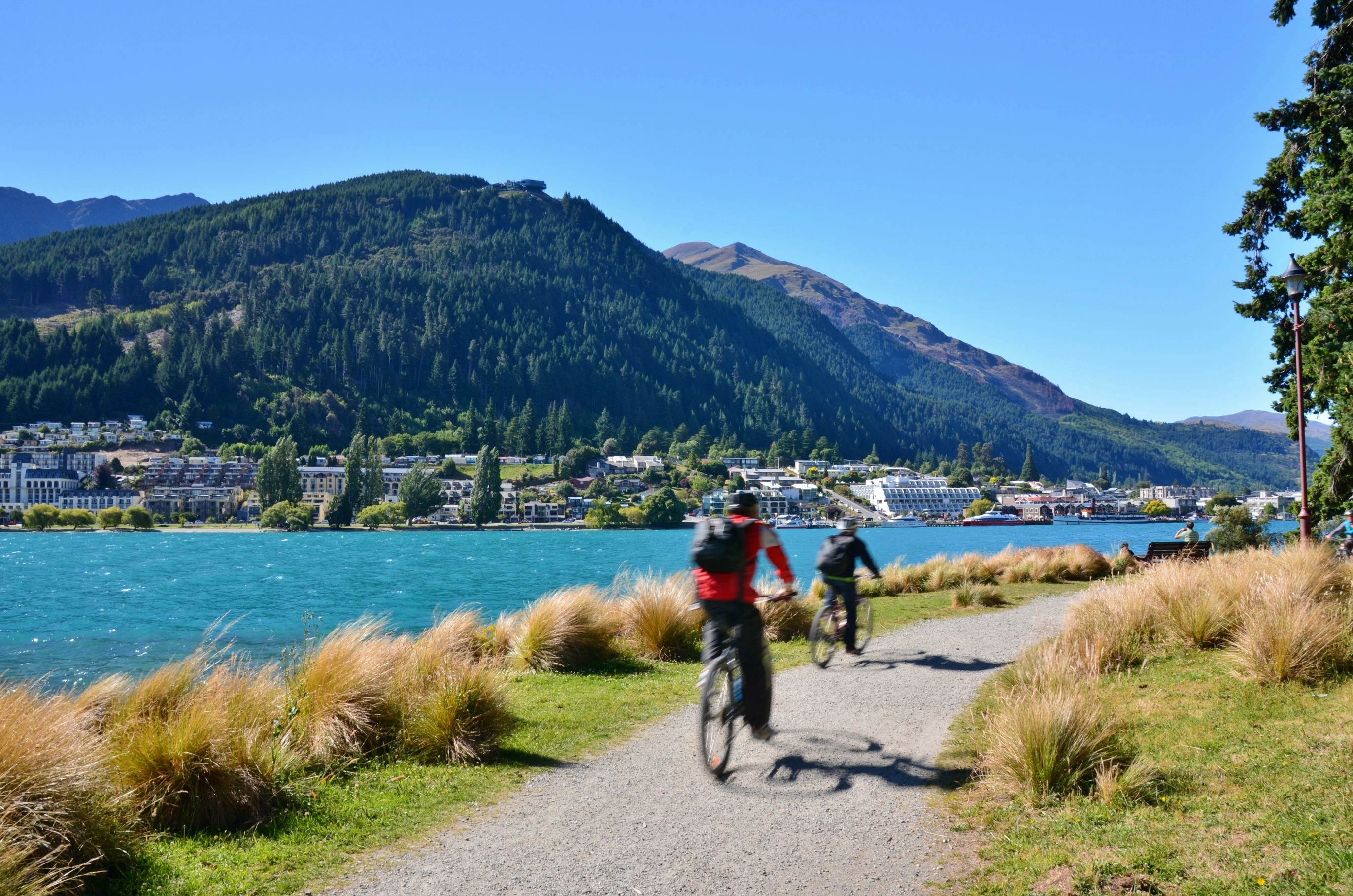Walking and cycling track in the Botanic Gardens in Queenstown, New Zealand