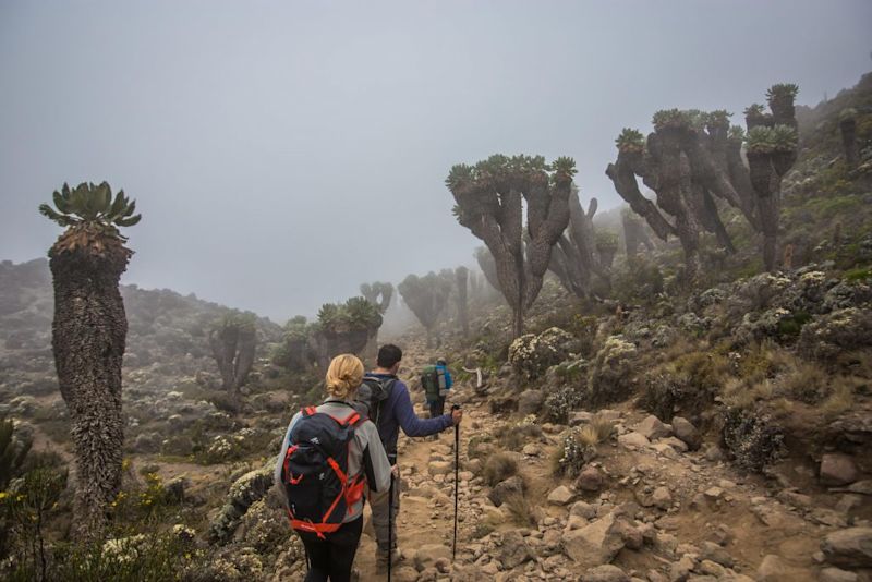 Barranco Camp Landscape