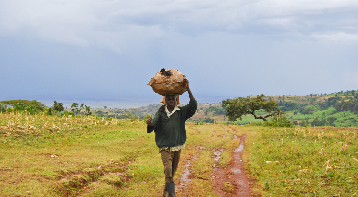 Sipi Falls trail in Uganda