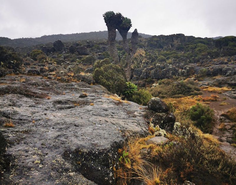 Shira Plateau on Kilimanjaro