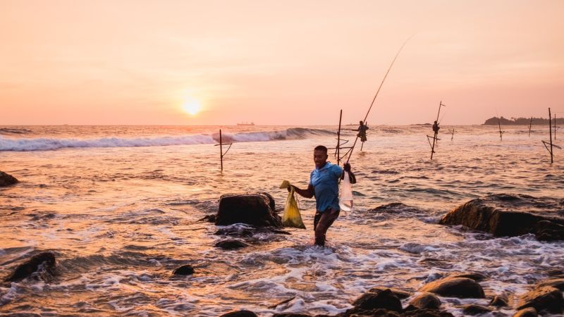 Stiltfishing in Unawatuna, Sri Lanka