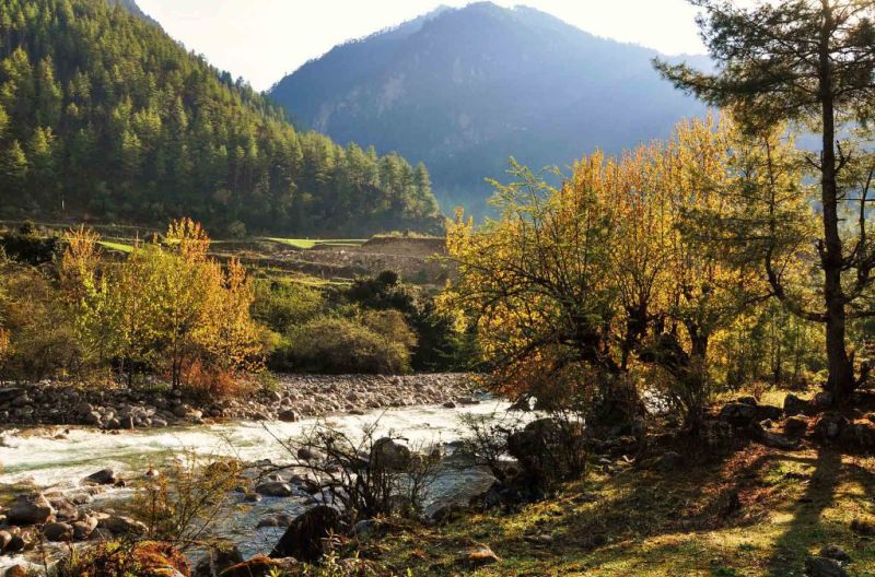 Bhutan autumn scene - how much does it cost to travel to Bhutan?