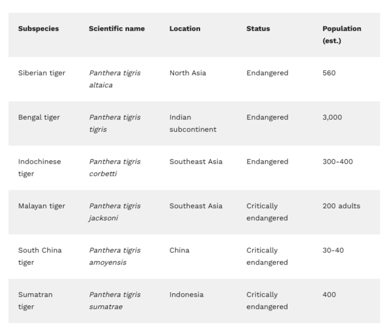 Tiger species table