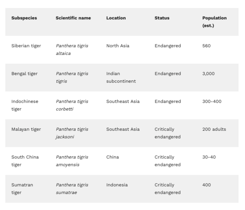 Tiger species table