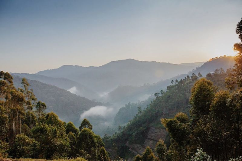 View of Bwindi Forest National Park, Uganda