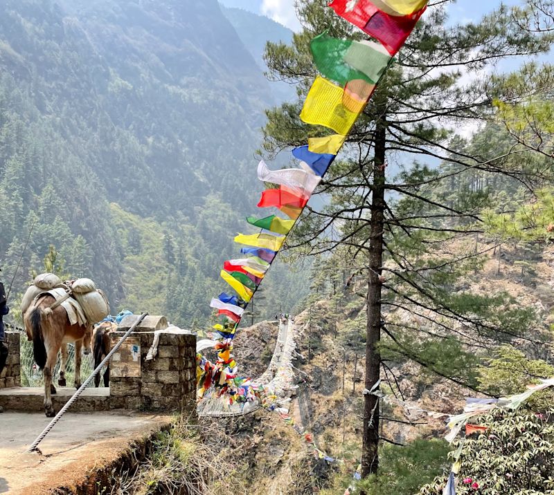 EBC trek Nepal suspension bridge route prayer flags packhorse forest, Dennis and Antonia pic cropped