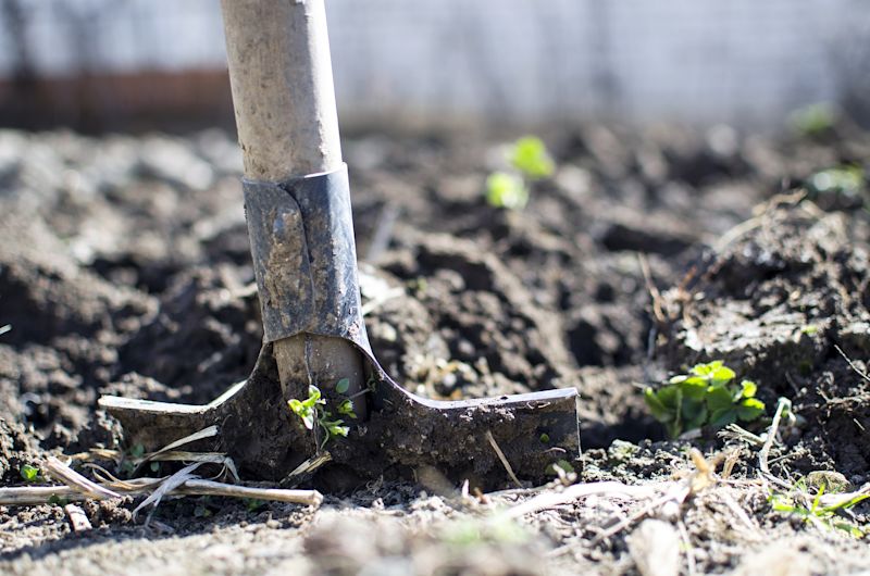 Spade digging in earth