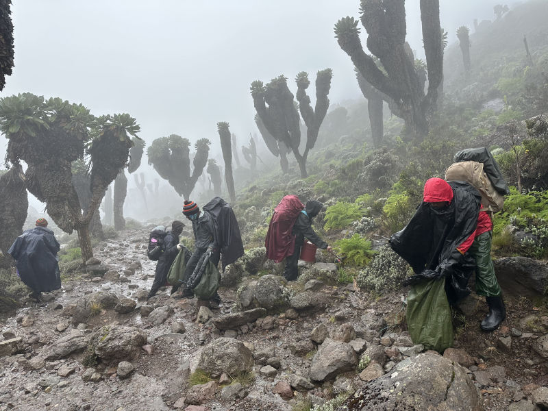 Misty Kilimanjaro cleanup 2023