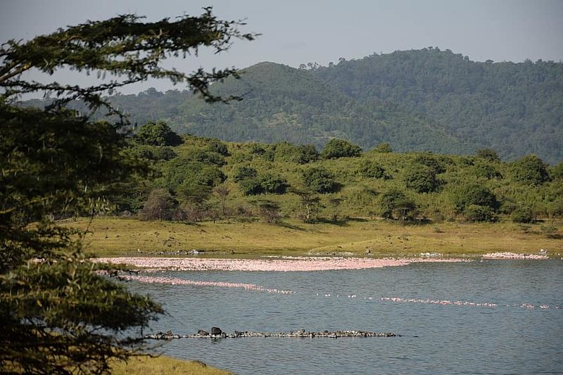 Momela Lakes Tanzania