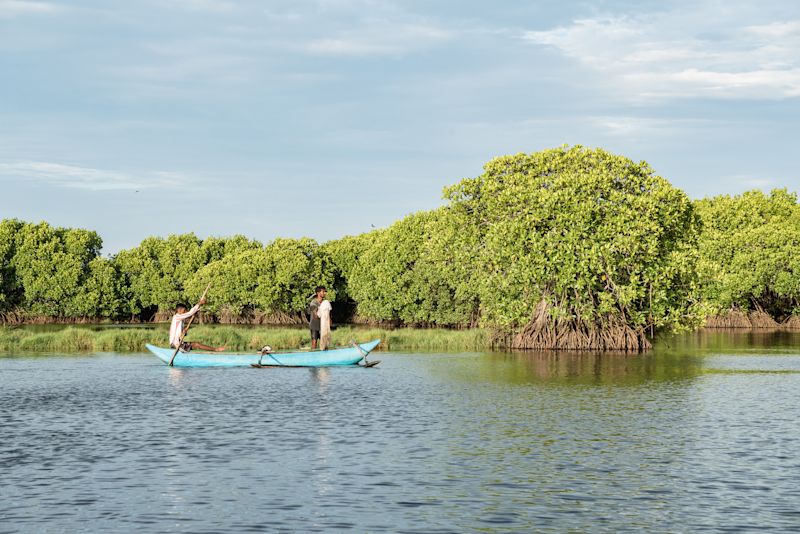 Sri Lanka lagoon safari in Pottuvil