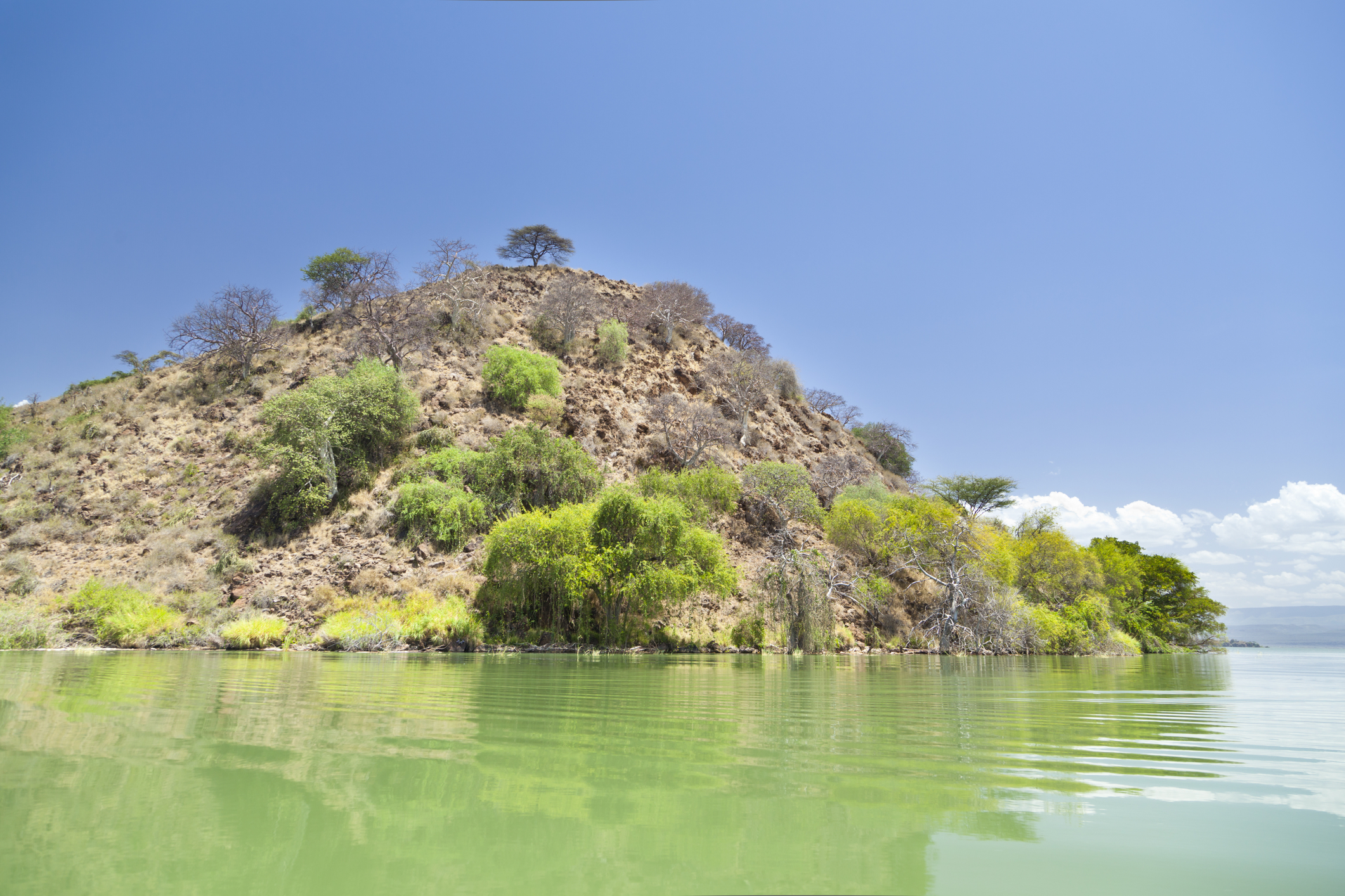 Island in Lake Baringo in Kenya.