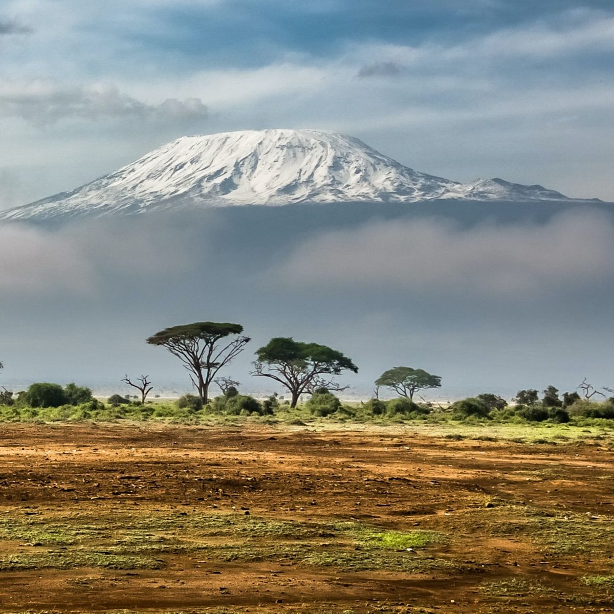 Mt Kilimanjaro with lots of snow seen from a distance with subtropical landscape in foreground and clouds obscuring lower half of mountain