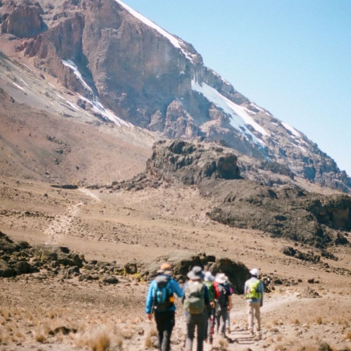 Group of hikers from behind walking path in alpine one of Mt Kilimanjaro