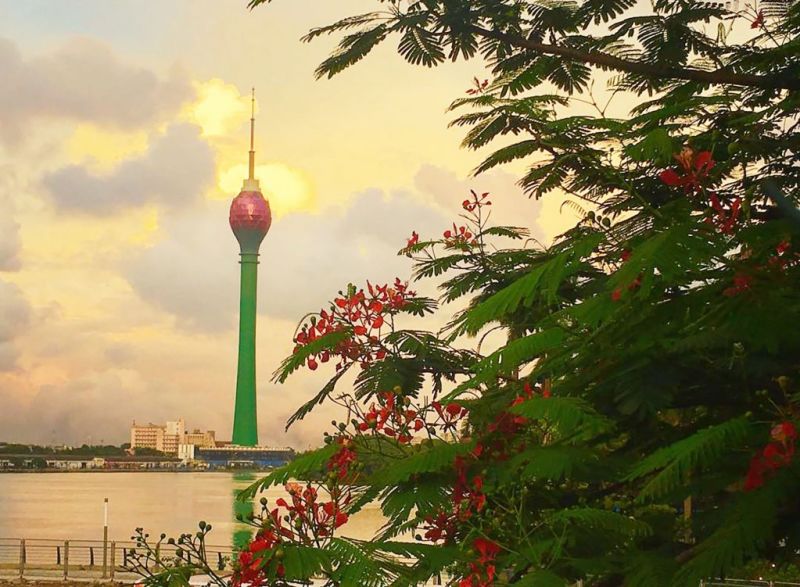 Lotus Tower in Colombo