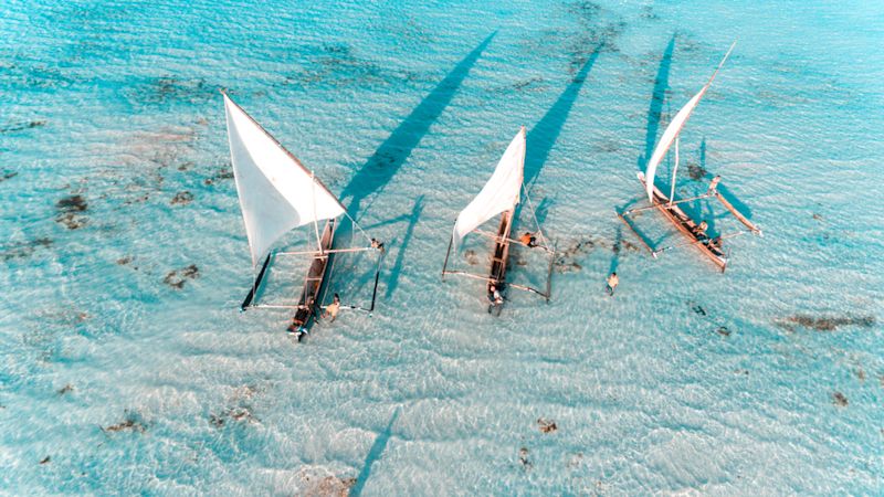 Aerial view of sailors on dhows in Zanzibar, Tanzania