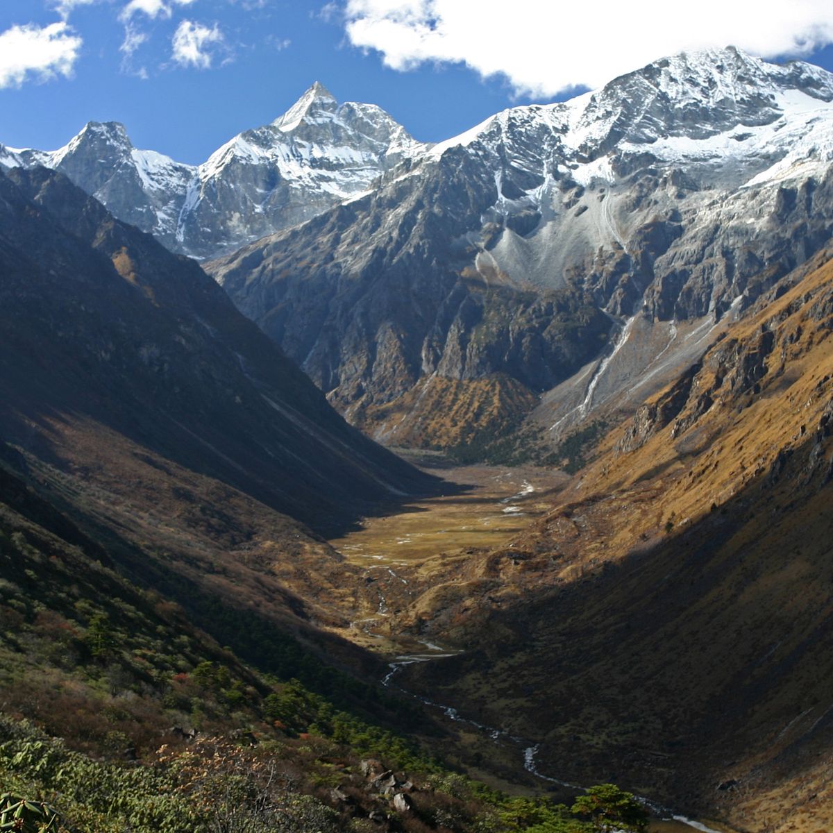 Pur. Himalayan valley in northern Bhutan on the Laya Trek