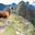 Llama at Inca lost city Machu Picchu, Peru