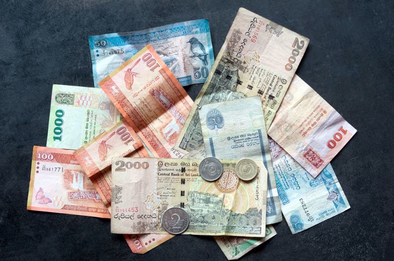 Colourful Sri Lankan rupees