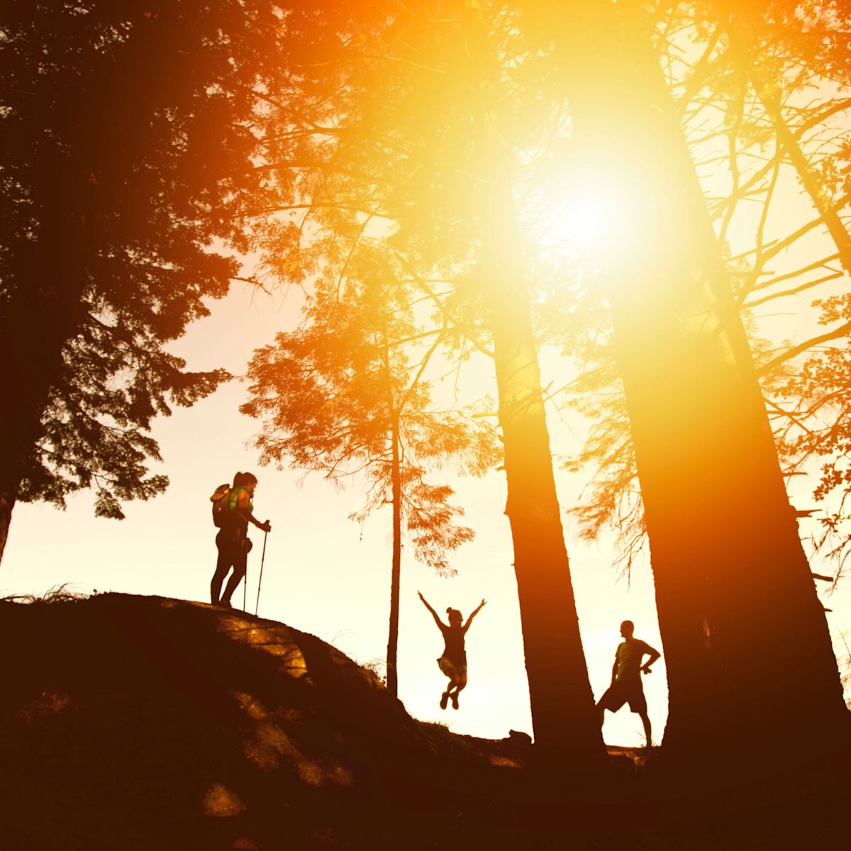 Hikers in low light among trees happy