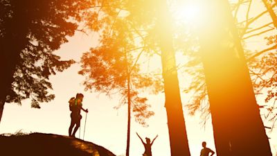 Hikers in low light among trees happy