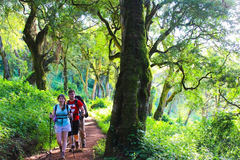 Climbers-in-Kilimanjaro-forest-1-1024x683.jpg